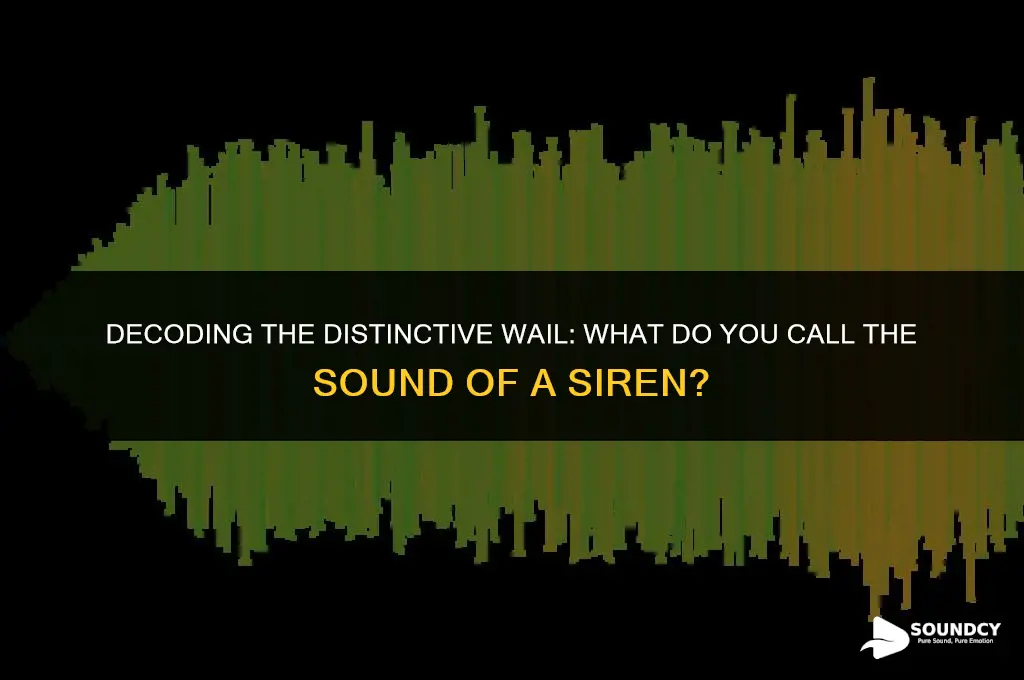 what do you call the sound of a siren