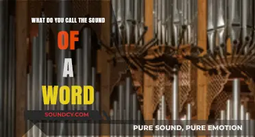 Echoes of Meaning: Exploring the Sonic Essence of Words