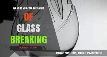 Shattering Silence: The Sonic Signature of Glass Breaking