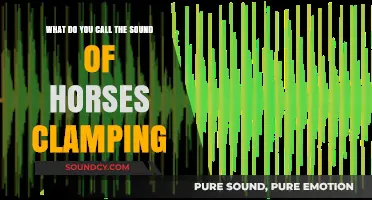 The Rhythmic Thunder: Exploring the Sound of Horses' Hooves