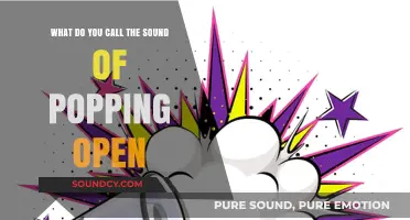 Exploring the Sonic Phenomenon: What Do You Call That Popping Sound?