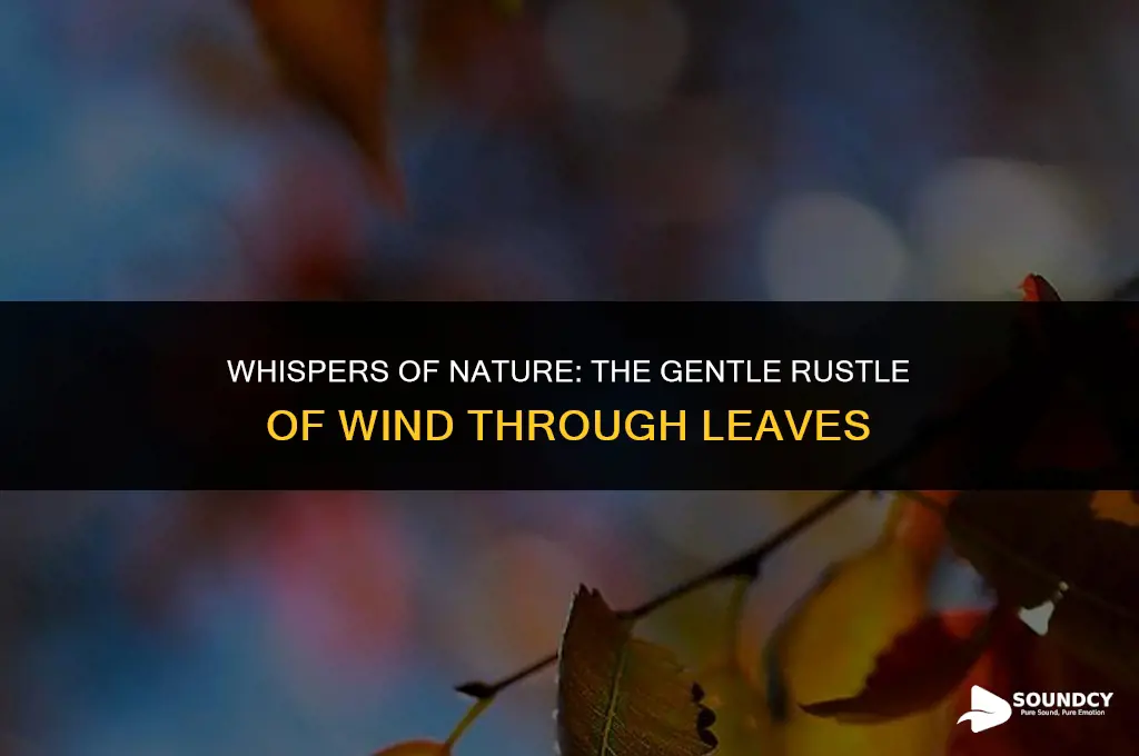 what do you call the sound of the wind