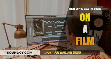 Echoes of Cinema: Exploring the Sonic Landscape of Film