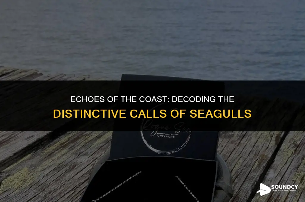 what do you call the sound sea gulls make