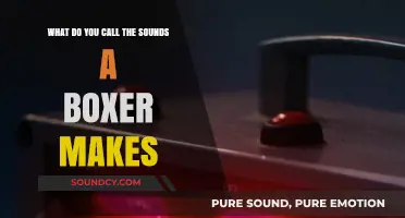 Punches and Grunts: The Unique Lexicon of Boxing Sounds