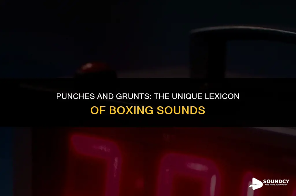 what do you call the sounds a boxer makes