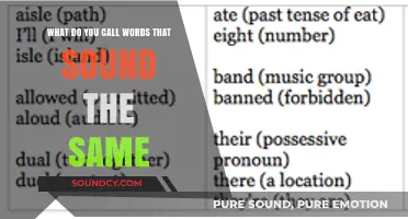 Echoes in Language: Exploring the World of Homophones