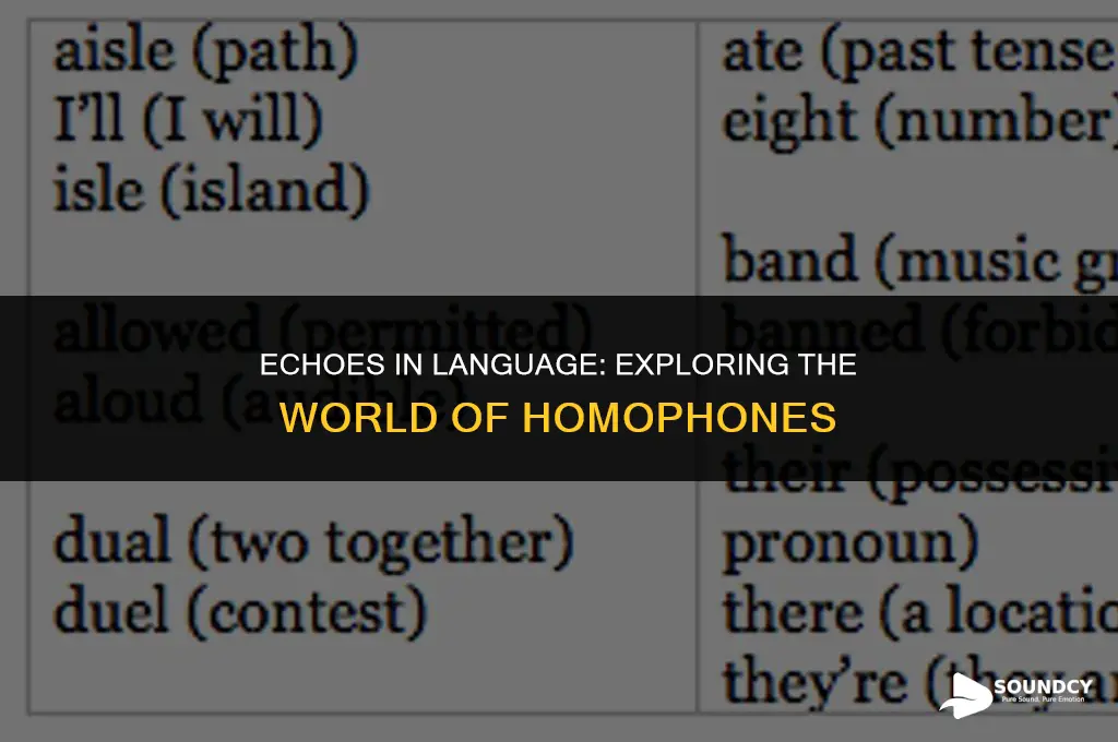 what do you call words that sound the same