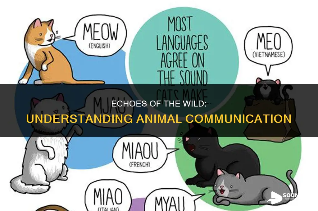 what do you called stuff animald that makes sound