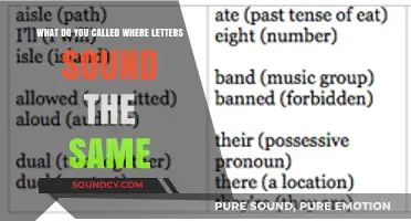 Exploring Homophones: Words That Sound the Same but Mean Different Things