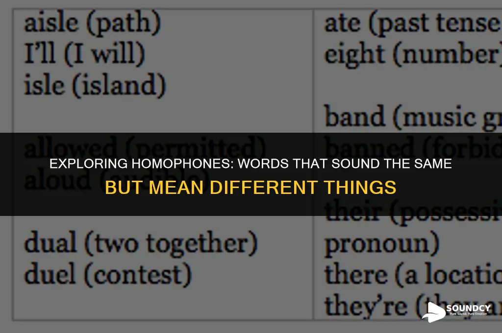 what do you called where letters sound the same