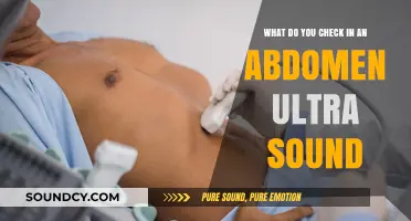 Exploring Abdominal Ultrasounds: A Comprehensive Guide to Key Examinations
