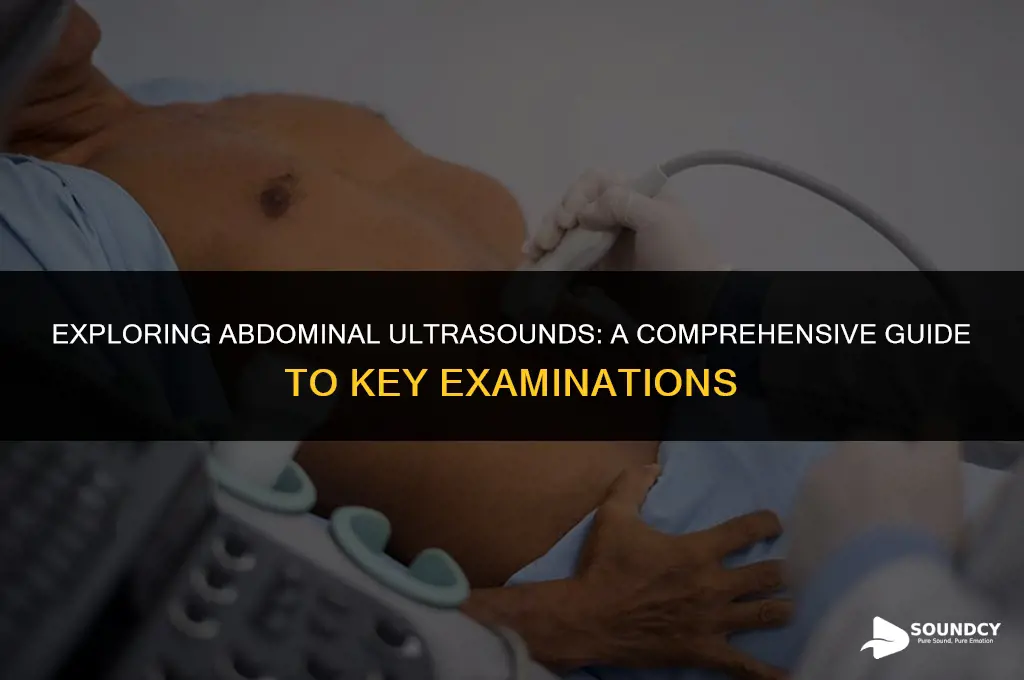 what do you check in an abdomen ultra sound