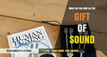 Harmony in a Box: The Perfect Gift of Sound for Every Occasion
