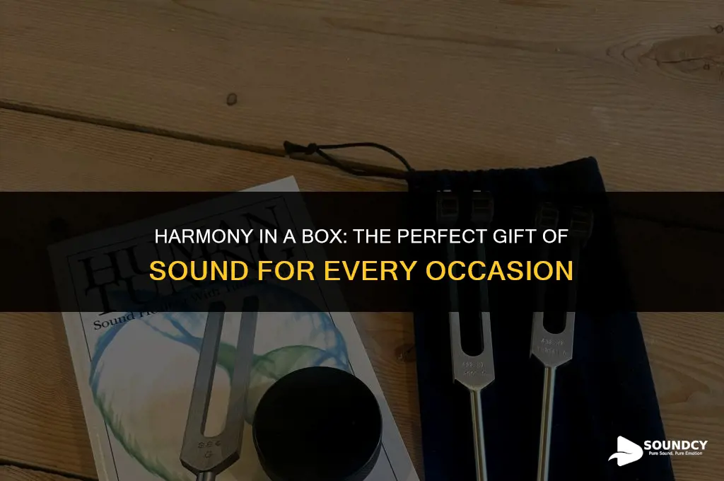 what do you give as the gift of sound