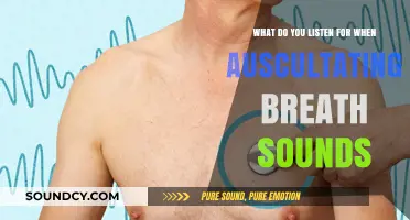 Breath Sound Auscultation: Key Elements to Listen For