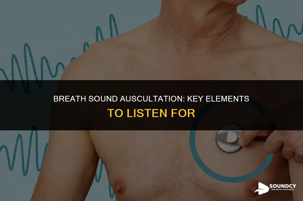 what do you listen for when auscultating breath sounds