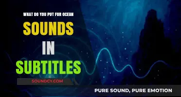 Capturing the Essence: Subtitling Ocean Sounds for Accessibility