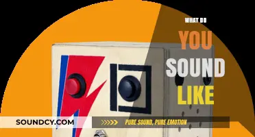 Discover Your Unique Voice: What Do You Sound Like?