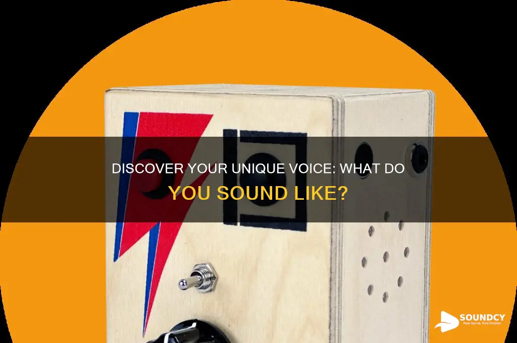 what do you sound like