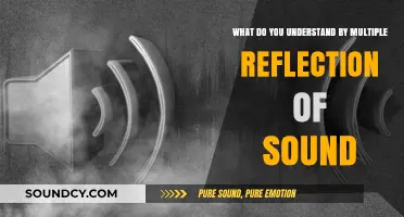 Exploring the Echoes: Understanding Multiple Reflections of Sound