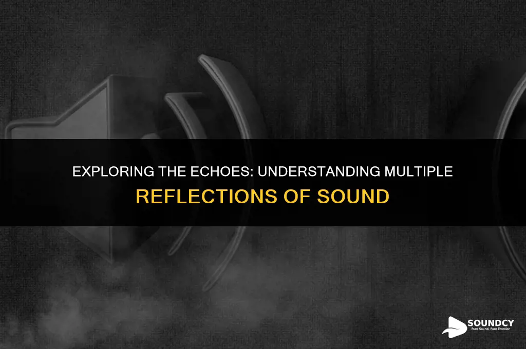 what do you understand by multiple reflection of sound