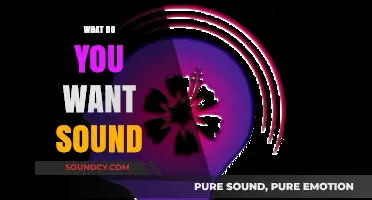 What Do You Want Sound to Do for Your Life and Mind?