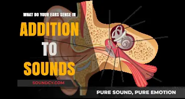 Beyond Sound: Unveiling the Hidden Sensations of Your Ears