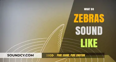 Unveiling the Unique Vocalizations: What Do Zebras Sound Like?