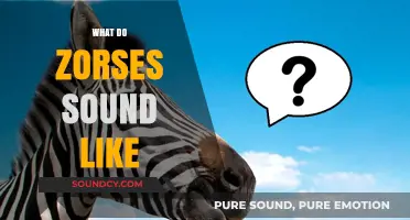 Unveiling the Unique Vocalizations of Zorses: What Sounds Do They Make?