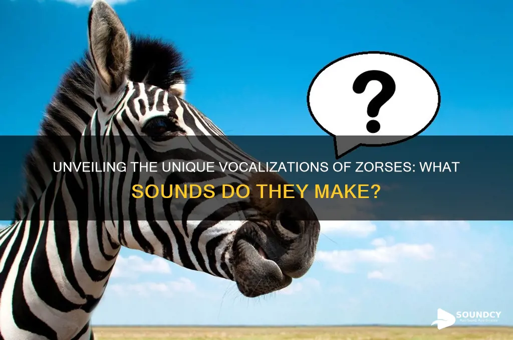 what do zorses sound like