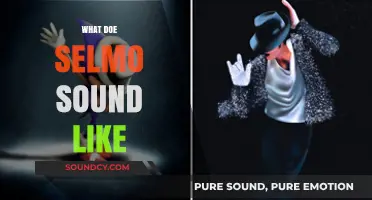 Exploring Selmo's Unique Sound: A Deep Dive into Its Sonic Identity
