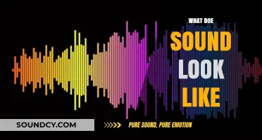 Visualizing Sound: Exploring the Shapes and Colors of Audible Waves