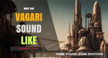 Exploring the Unique Sound of Vagari: A Musical Journey