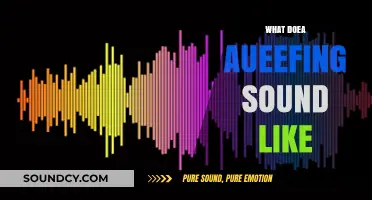 Unveiling the Unique Sound of Aueefing: What Does It Really Sound Like?