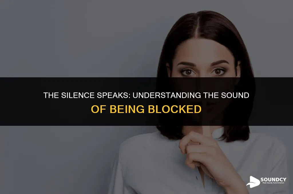 what doea it sounds like when youve been blocked