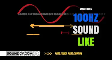 Exploring the Unique Auditory Experience of 100Hz Sound Frequencies