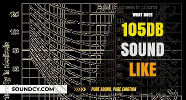 Understanding the Intensity: What Does 105dB Sound Like?
