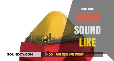 Understanding the Intensity: What Does 110dB Sound Like?