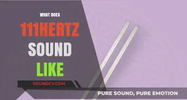 Exploring the Mystical Resonance of 111 Hertz: A Sonic Journey