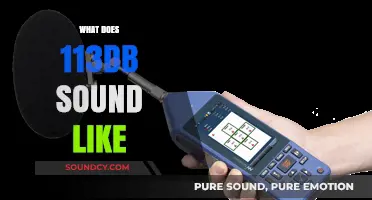 Understanding the Intensity: What Does 113dB Sound Like?