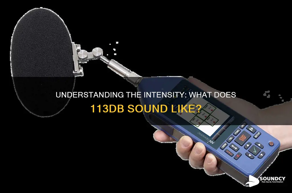 what does 113db sound like