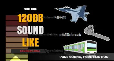 Unraveling the Intensity: What Does 120dB Sound Like?
