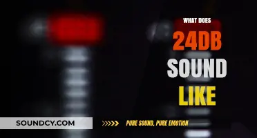 Understanding the Audible Impact: What Does 24dB Sound Like?