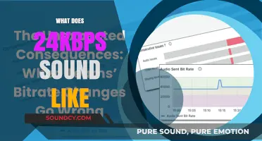 Exploring 24kbps Audio Quality: What Does It Really Sound Like?
