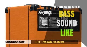 Exploring the Sonic Power: What Does 250,000 Watts of Bass Sound Like?