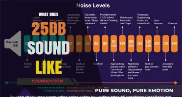 Understanding 25dB: A Quiet Hum or Whispered Conversation Explained