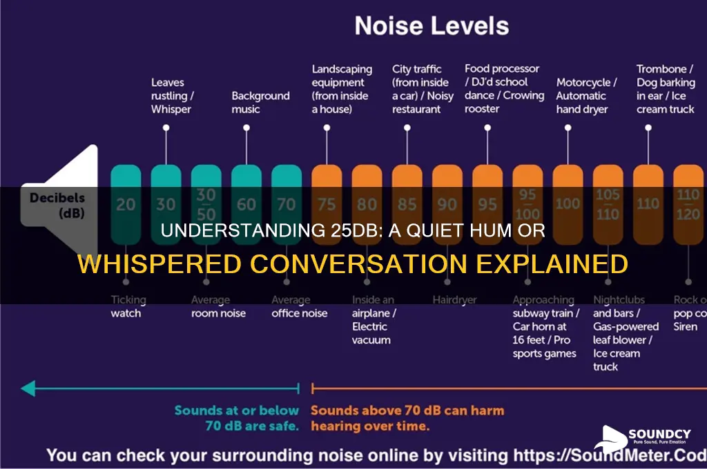 what does 25db sound like