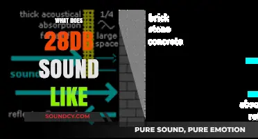 Understanding 28dB: What Does This Quiet Sound Level Actually Sound Like?