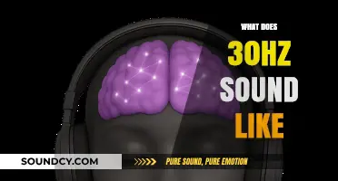 Understanding the Audible Experience of 30Hz Frequency in Sound Waves
